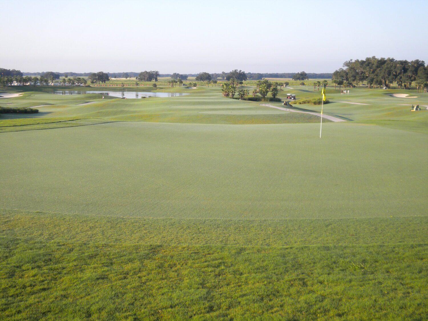 Different Species of Grass on Golf Courses