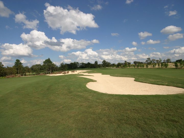 Golf Trends