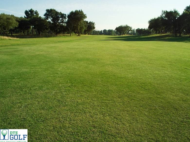 Summer Aerification