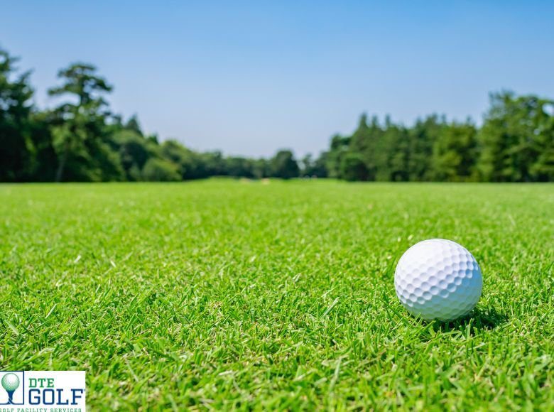 Grass Shade Tolerance