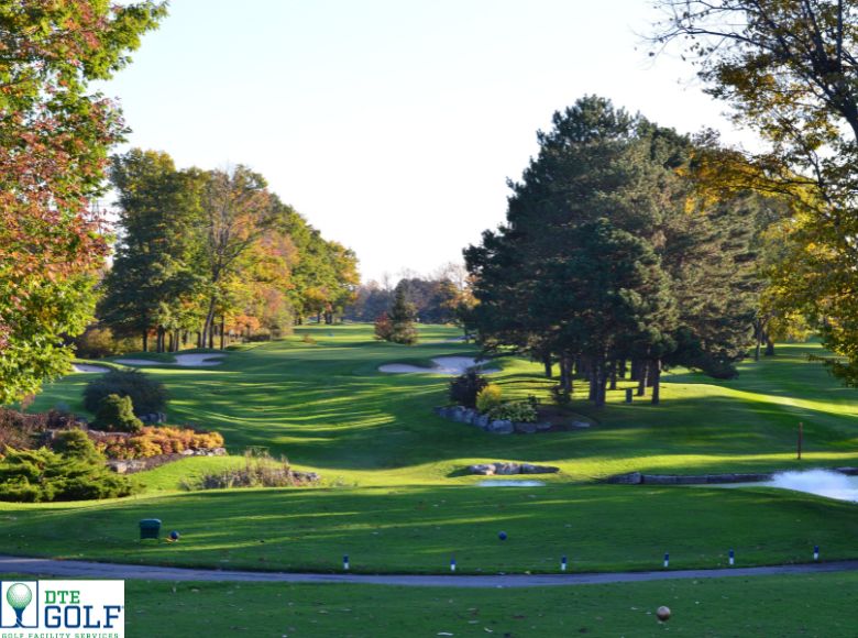 Thatch for golf course