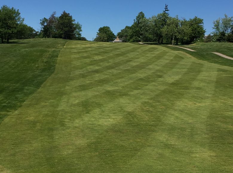 Turfgrass Mowing Heights