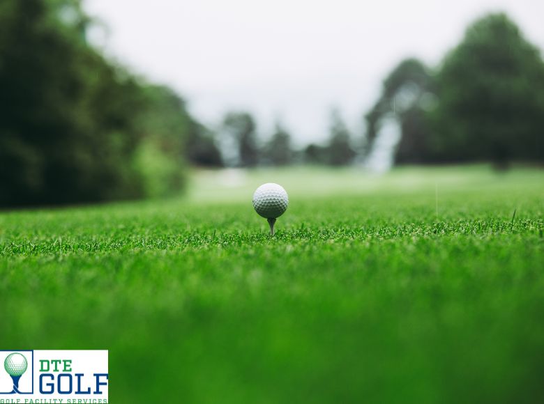 Turf Management
