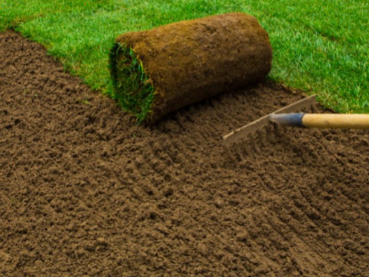 DTEG Sodding