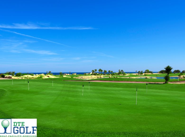 Golf Course Grass