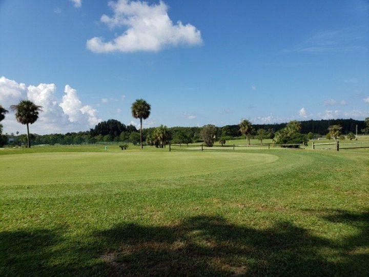 Golf Courses