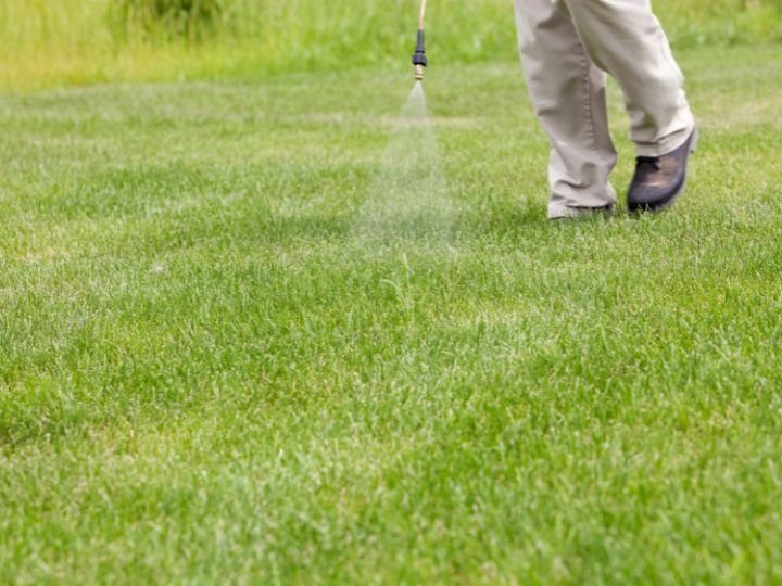 integrated pest management